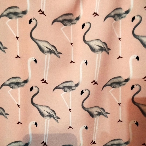 Entro Flamingo Ruffle Sleeveless Shift Dress Size Small - Picture 4 of 5